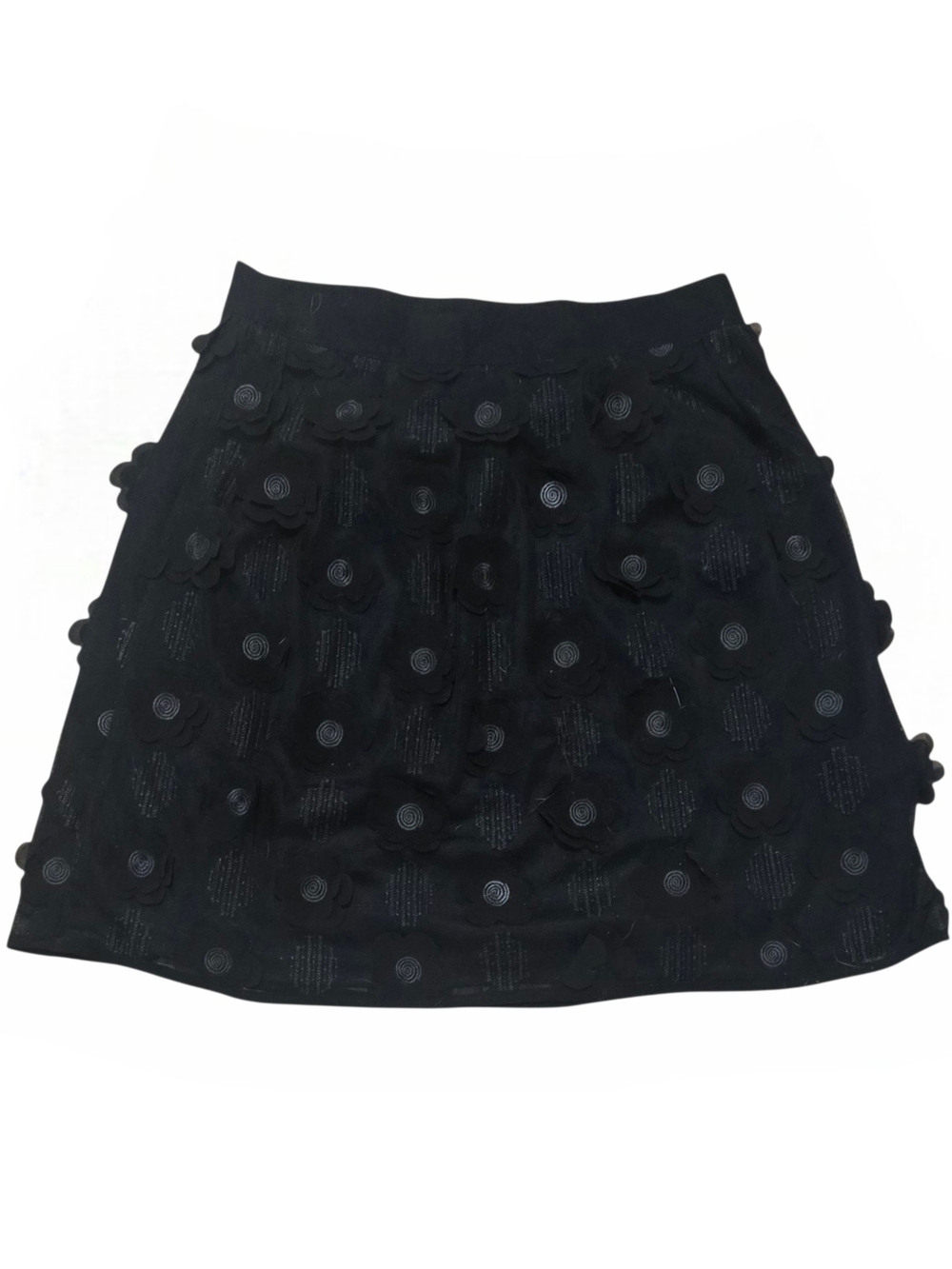 Alya Black A-Line Skirt with 3D Floral Appliqués